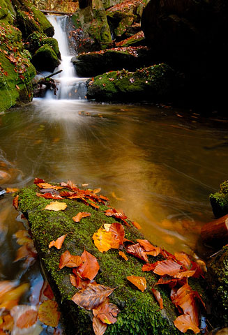 Podzim na Rešovských vodopádech