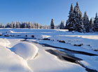 Roklanský potok v zimě, Šumava.