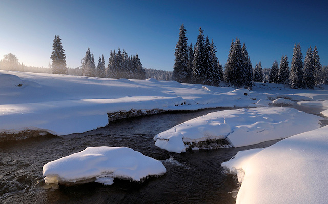 Roklanský potok v zimě, Šumava