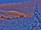 Nejstarší lyžařské středisko v Jeseníkách a zároveň jedno z nejznámějších středisek sjezdového lyžování na severní Moravě. Oblast je vyhlášená i mezi běžkaři – upravované tratě vedou až na Praděd.

