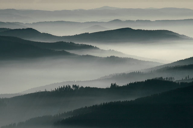 Údolní mlhy v chráněné krajinné oblasti Beskydy