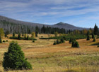 Hadí vrch na Šumavě představuje rozlehlé pastviny s nádhernými kruhovými rozhledy.

