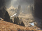 Mlhavé ráno z národní přírodní rezervace Boubínský prales.