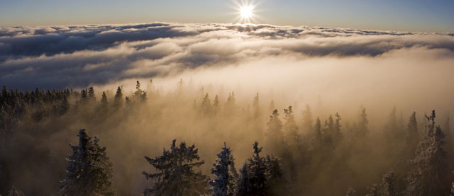 Mlhavé ráno z národní přírodní rezervace Boubínský prales