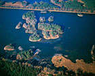 Rybník Ženich je ze všech stran ohrázován a jeho hráz o celkové délce 3,5 km je nejdelší rybniční hrází v České republice.

