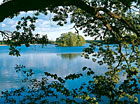 Šestý největší rybník v České republice. Spolu s rybníkem Malý Tisý je od roku 1957 součástí národní přírodní rezervace Velký a Malý Tisý. Je zde důležité hnízdiště a shromaždiště ptactva.

