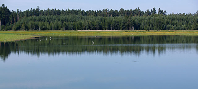Svobodný rybník u Nové Hutě.