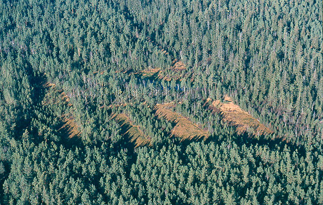 Národní přírodní rezervace Červené blato - letecký pohled