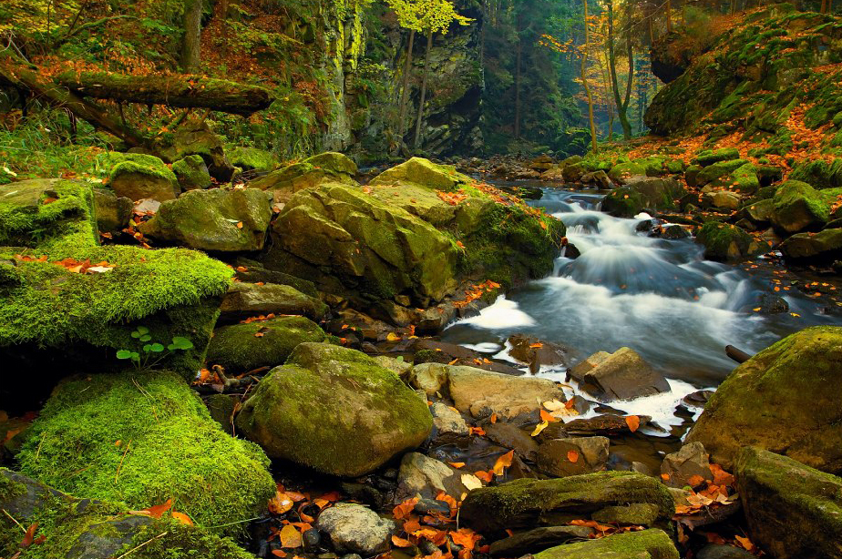 Údolí Doubravy, přírodní rezervace | Železné hory
