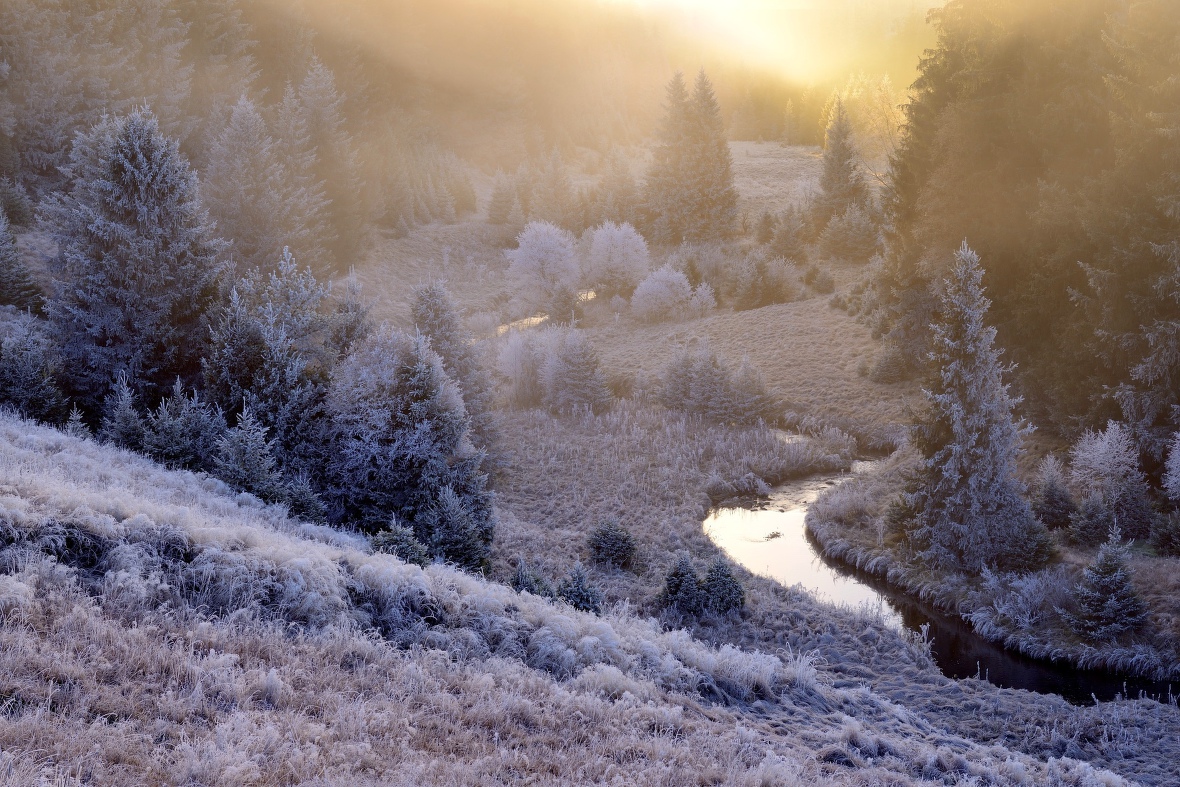Údolí Křemelné v zimě | národní park Šumava