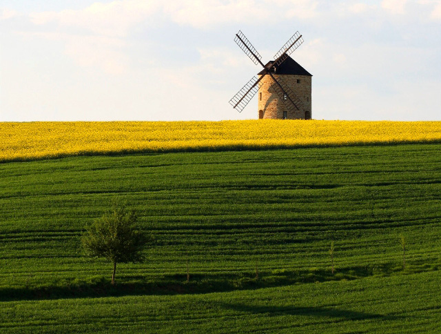 Větrný mlýn jako dominanta nad obcí Jalubí, Slovácko