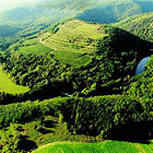 Řeka Dyje pod viniční tratí. Vinice Šobes je jedna z nejstarších viničních tratí v ČR. Zároveň patří mezi 10 nejlepších vinařských poloh v Evropě – připomíná vinice na Rýně či v údolí francouzské Rhôny.

