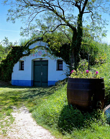 Vinný sklep v lokalitě Petrov-Plže, Bílé Karpaty