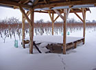 Vinařský dvůr U Jeňoura – zimní pohled na přilehlé vinice.