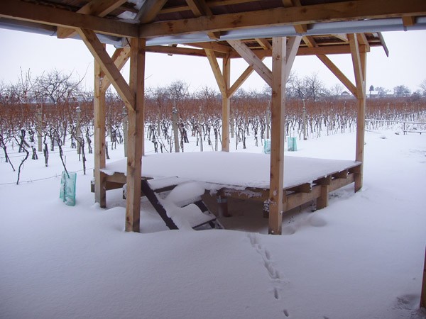 Vinařský dvůr U Jeňoura – zimní pohled na přilehlé vinice