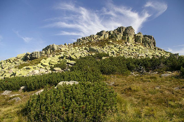 Violík (Labský štít) a kamenná moře, Krkonoše