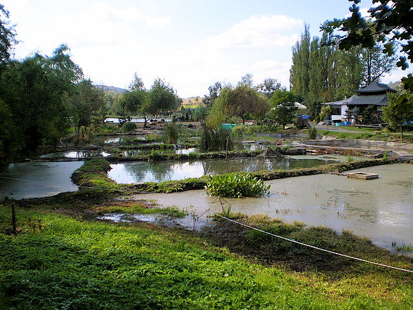 Vodní park Čabárna - rybníčky