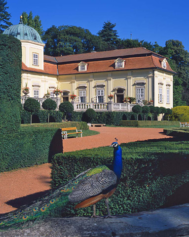 Zámek Buchlovice – páv v barokní zahradě