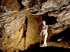 Jeskyně měří přes 1300 m a představují největší známý jeskynní systém v Hranickém krasu. Unikátní výzdobu tvoří minerál aragonit, bizarní stalagmity a kulovité sintrové povlaky připomínající koblihy.

