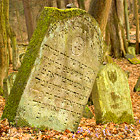 Židovský hřbitov Podbřezí