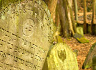 Hřbitov skrývá cca 90 ručně tesaných barokních a klasicistních náhrobků s hebrejskými nápisy.

