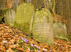 Bývalý židovský hřbitov v lese u Podbřezí. Nejstarší náhrobek pochází z roku 1725, poslední pomník byl postaven v roce 1907.

