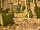 Bývalý židovský hřbitov v lese u Podbřezí. Nejstarší náhrobek pochází z roku 1725, poslední pomník byl postaven v roce 1907.

