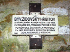 Židovský hřbitov Podbřezí (Skalka) – vstupní brána.