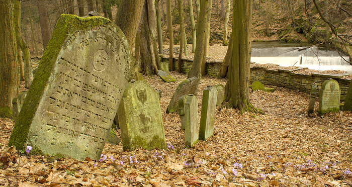 Lesní židovský hřbitov Podbřezí (Skalka)
