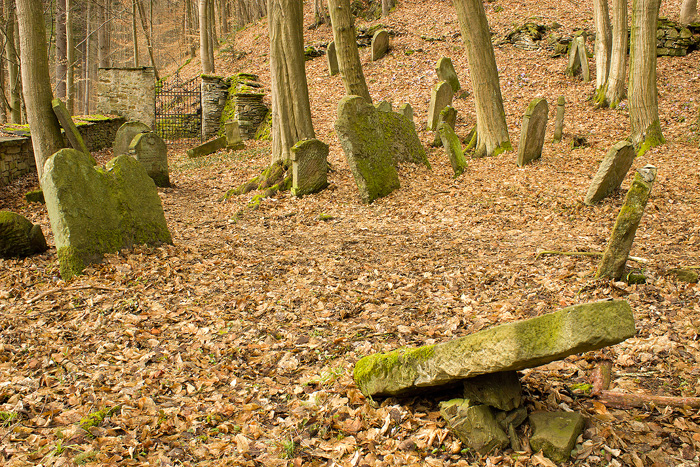 Židovský hřbitov Podbřezí (Skalka) – náhrobní kameny
