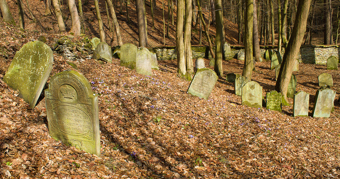 Židovský hřbitov Podbřezí (Skalka) – tesané kamenné náhrobky