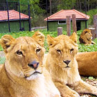 Zoopark Dvorec u Borovan