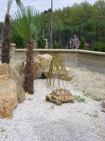 Zoopark Dvorec u Borovan - želvárium